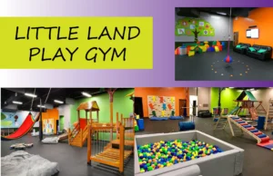 Little land Play gym